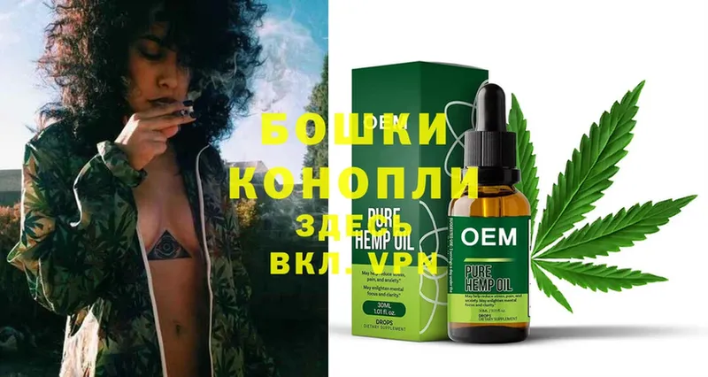 Канабис OG Kush  Великий Устюг 